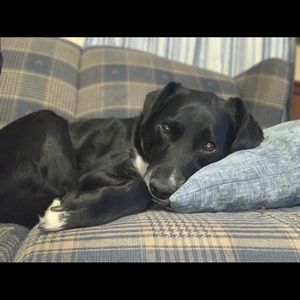 Meet your Posher, Mackensie